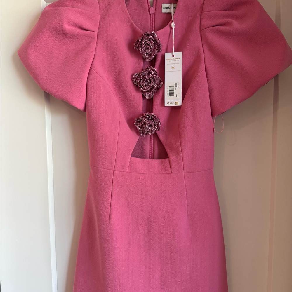 NWT Rebecca Vallance Aubree Flower Mini Dress with Beaded Floral Details Size 4 - Picture 3 of 5